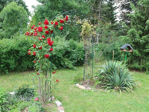 Sommerhus - 8 personer -  - Am Domsdorfer Anger - 03149 - Forst In Der Lausitz