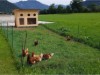 Bild 21