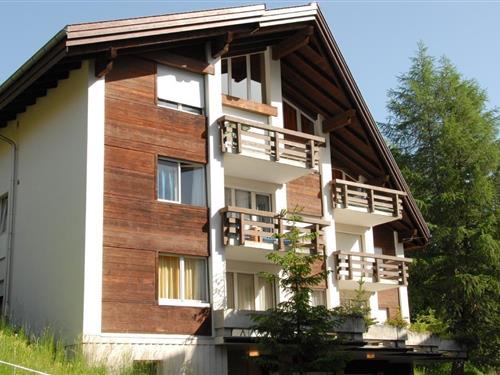 Feriehus / leilighet - 6 personer -  - Chalet Myrrena Dorfstrasse - 3825 - Mürren