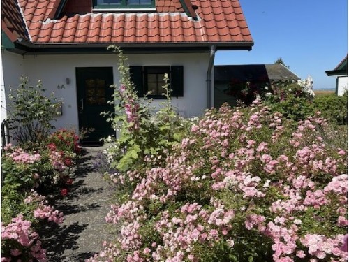 Ferienhaus - 4 Personen -  - 23942 - Dassow