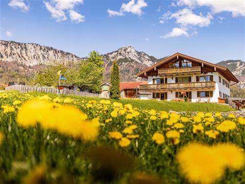 Bauernhof - 3 Personen -  - Langwied - 83483 - Bischofswiesen