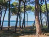 Billede 8