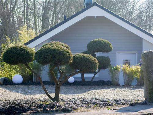 Sommerhus - 2 personer -  - Dagebüll - 25899