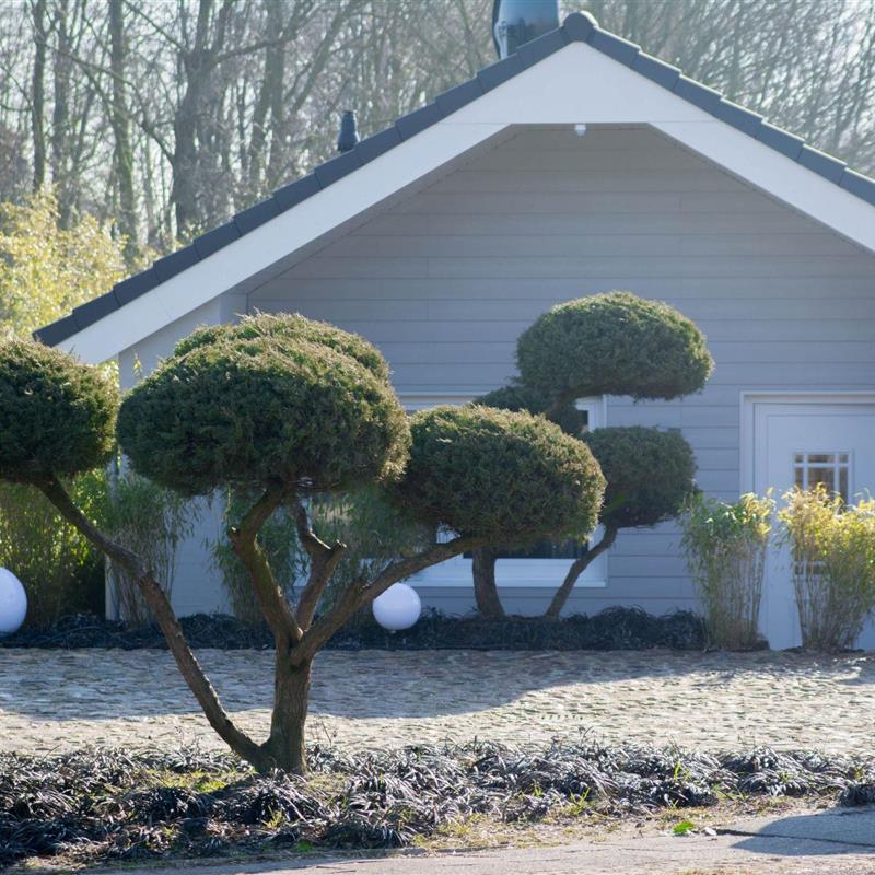 Sommerhus - 2 personer -  - Dagebüll - 25899