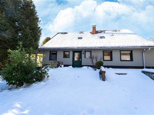 Feriehus - 10 personer -  - 38875 - Elend