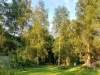 Bilde 5 - Ude