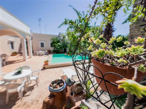 Ferielejlighed - 4 personer -  - Ostuni - 72017