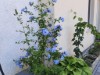 Bild 24