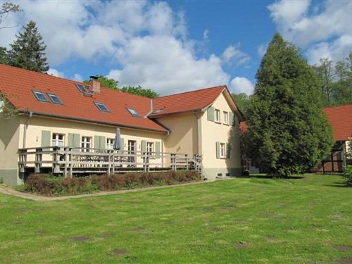 Sommerhus - 4 personer -  - 16831 - Rheinsberg