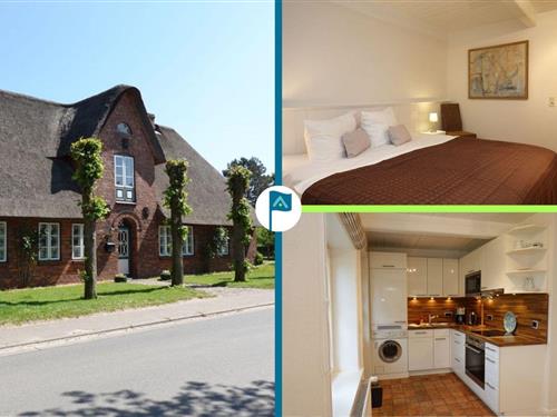 Ferielejlighed - 2 personer -  - Dörpstrat - 25938 - Oevenum