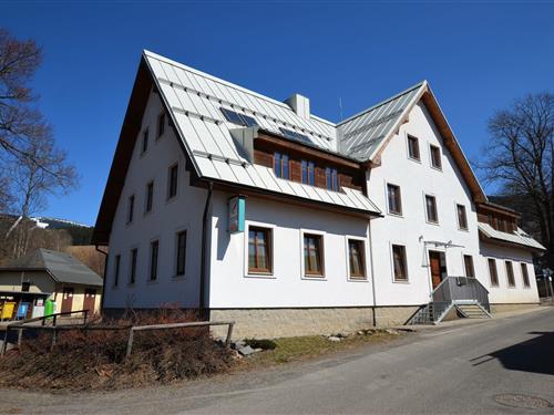 Holiday Home/Apartment - 5 persons -  - 51244 - Rokytnice Nad Jizerou