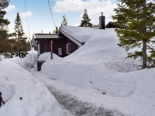 Sommerhus - 8 personer -  - Fantenveien - Skrim - 3648 - Passebekk