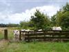 Bild 16