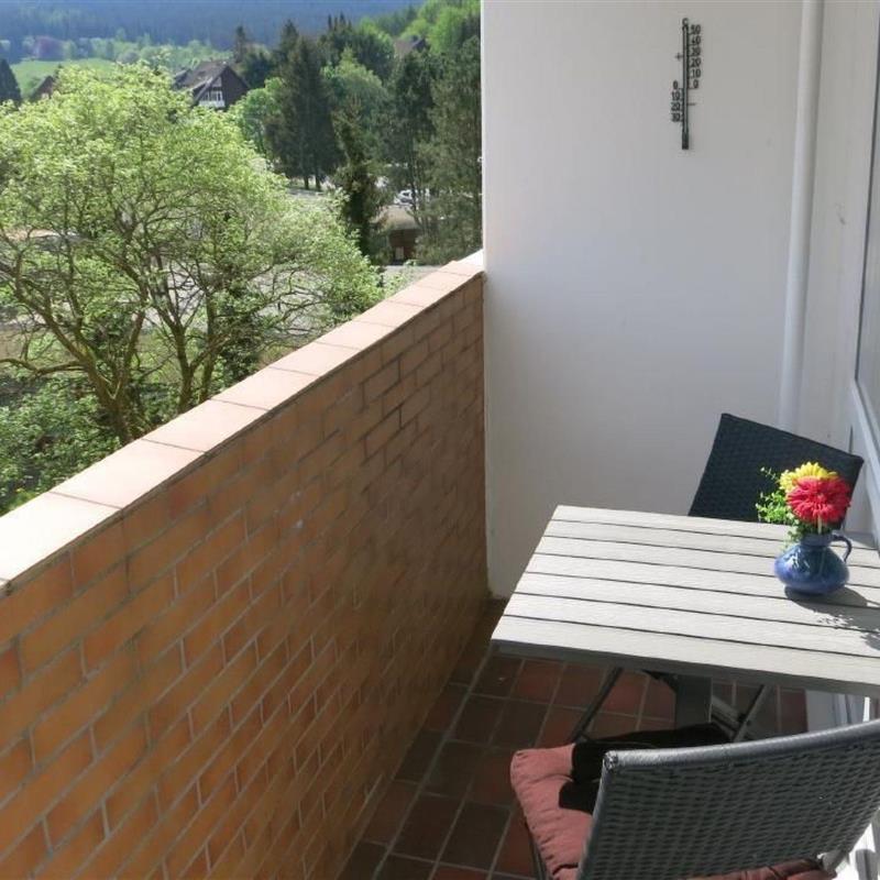 Ferielejlighed - 2 personer -  - Altenau - 38707