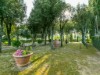 Image 31 - Outside