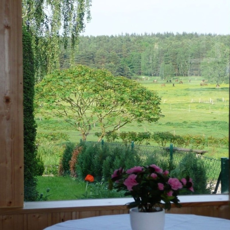 Sommerhus - 5 personer -  - 16837 - Luhme Ot Repente