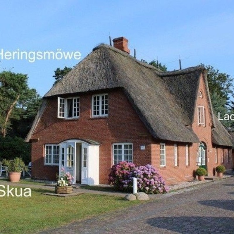 Ferielejlighed - 2 personer -  - Strunwai - 25946 - Nebel
