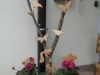 Bilde 3