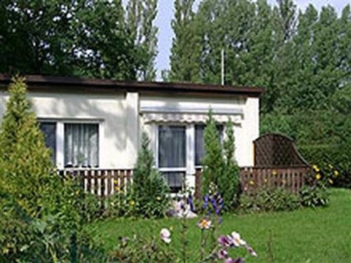 Ferienhaus - 5 Personen -  - Waldsiedlung - 18551 - Glowe