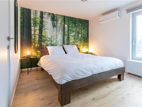 Ferieleilighet - 6 personer -  - 3630 - Maasmechelen