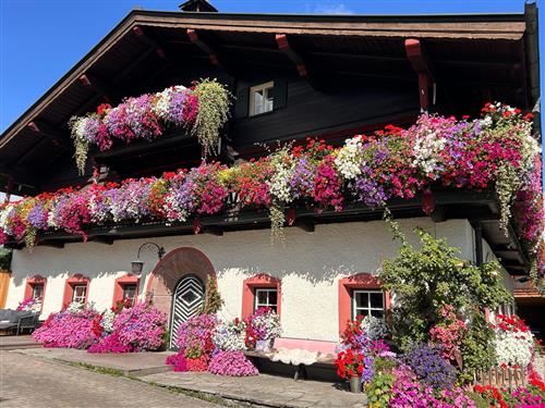 Bauernhof - 5 persons -  - Uttenhofen - 5760 - Saalfelden Am Steinernen