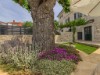 Image 21 - Outside