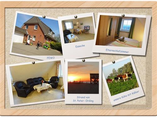 Bauernhof - 4 Personen -  - Medehop - 25881 - Tating