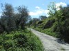 Image 26 - Outside