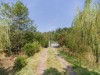 Afbeelding 28 - Ude