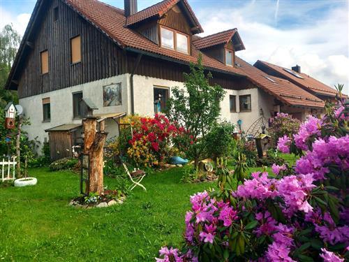 Ferienwohnung - 5 Personen -  - Jochelweg - 92539 - Schönsee