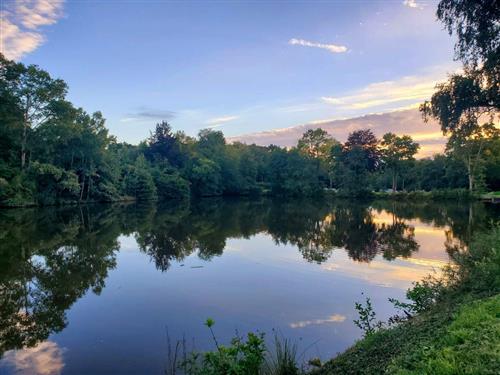 Ferielejlighed - 4 personer -  - Am See - 56291 - Leiningen