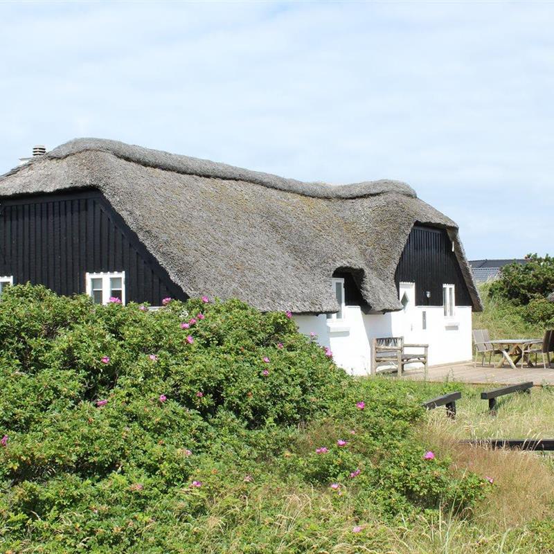 Ferienhaus - 6 Personen -  - Dortheasvej - Bjerregaard - 6960 - Hvide Sande