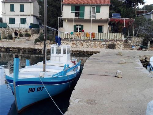 Sommerhus - 7 personer -  - Otok Žut b.b., uvala Bizikovica - 22243 - Murter