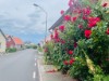 Billede 19 - Ude