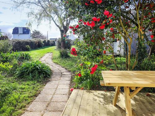 Ferienhaus - 6 Personen -  - Rue de Terenez - 29610 - Plougasnou