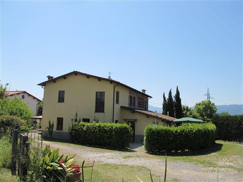 Holiday home - 6 persons -  - Lucca - 55100