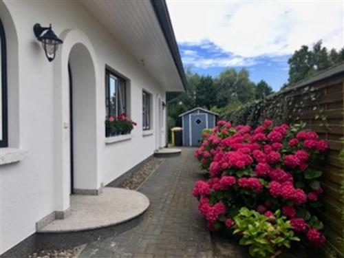 Ferielejlighed - 5 personer -  - Bernsteinweg - 18181 - Seeheilbad Graal-Müritz