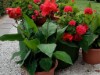 Bild 8 - Aussen