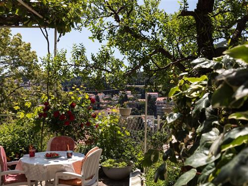 Ferielejlighed - 2 personer -  - 20000 - Dubrovnik