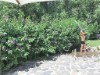 Image 32 - Outside
