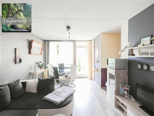 Feriesenter - 5 personer -  - Auf dem Glockenberg - 38707 - Altenau