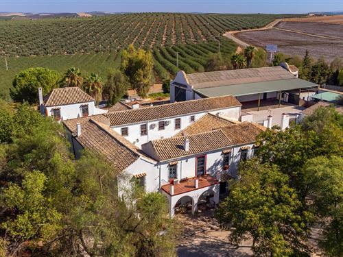 Sommerhus - 20 personer -  - CO-5300 km - Puente Genil - 14549 - Santaella