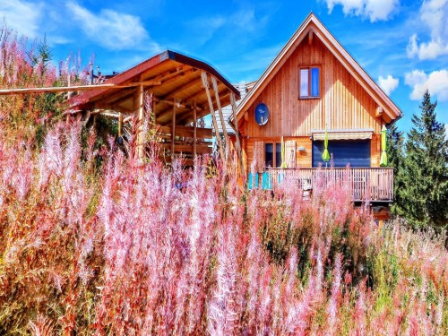 Chalet - 8 persons -  - 9462 - Bad Sankt Leonhard