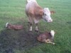 Bild 9