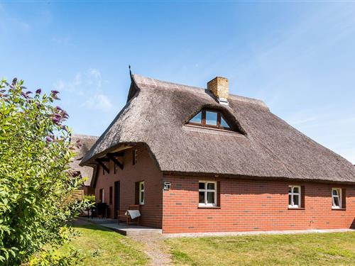 Ferielejlighed - 2 personer -  - Hafenstraße - 18347 - Wustrow