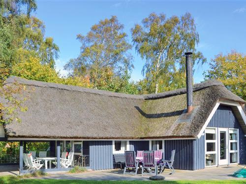 Ferienhaus - 6 Personen -  - Hulsøvej - 3250 - Gilleleje