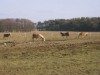 Image 120