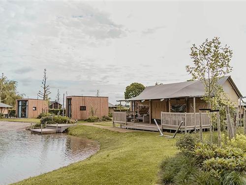 Sommerhus - 8 personer -  - 4041XA - Kesteren