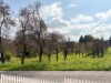 Bilde 31