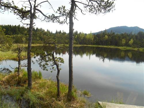 Semesterlägenhet - 4 personer -  - Altenauer Str. 24 a - 82442 - Saulgrub-Altenau